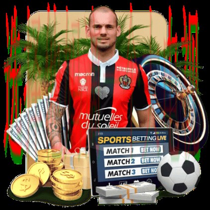 深入解析凯发体育正规版应用特点